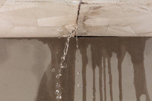 Professional Water Extraction technician working in Cedar Lane, TX
